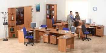 Мебель для персонала Альфа 61 Ольха в Кыштовке - kyshtovka.mebel54.com | фото