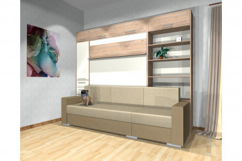 Шкаф-кровать с диваном Каролина в Кыштовке - kyshtovka.mebel54.com | фото